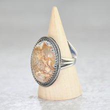 Load image into Gallery viewer, Agate Ring • Size 7 US